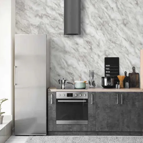 Bianco Ghiaccio WP2257 di Pintdecor Wallpanel
